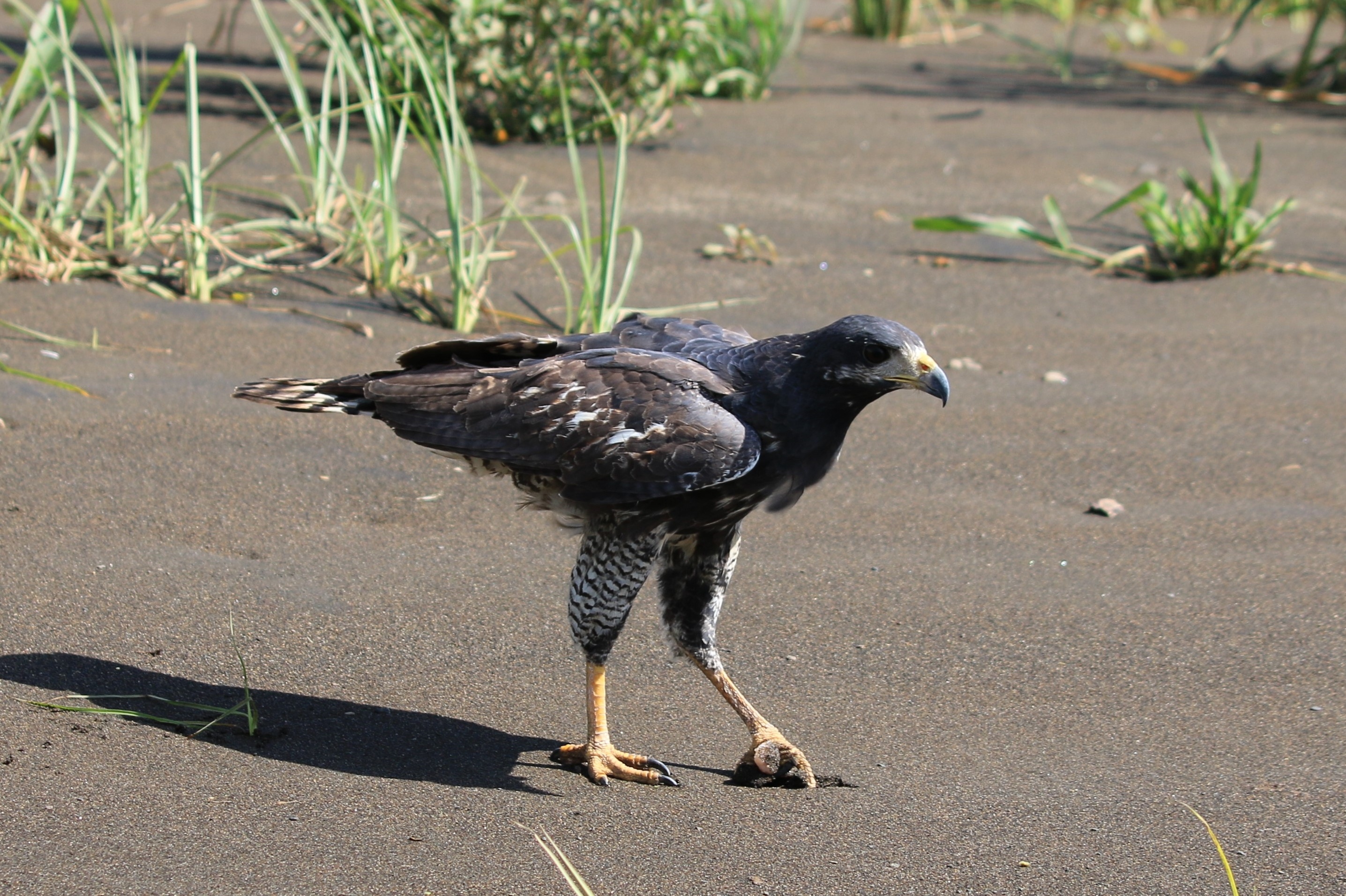 Costa Rica